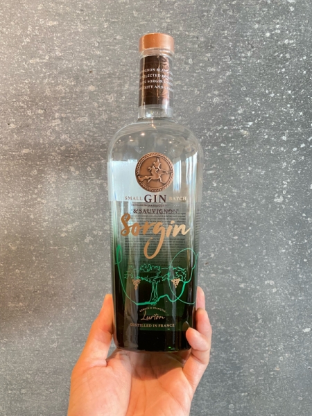 ソルジン